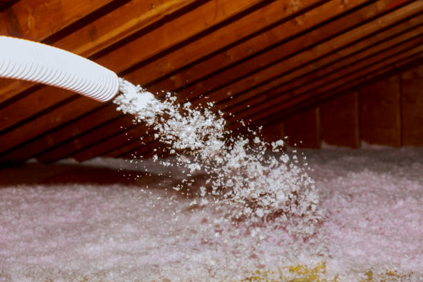 Best Insulation Installation Services in Bevil Oaks, TX